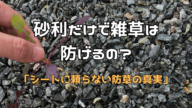 砕石と雑草の写真